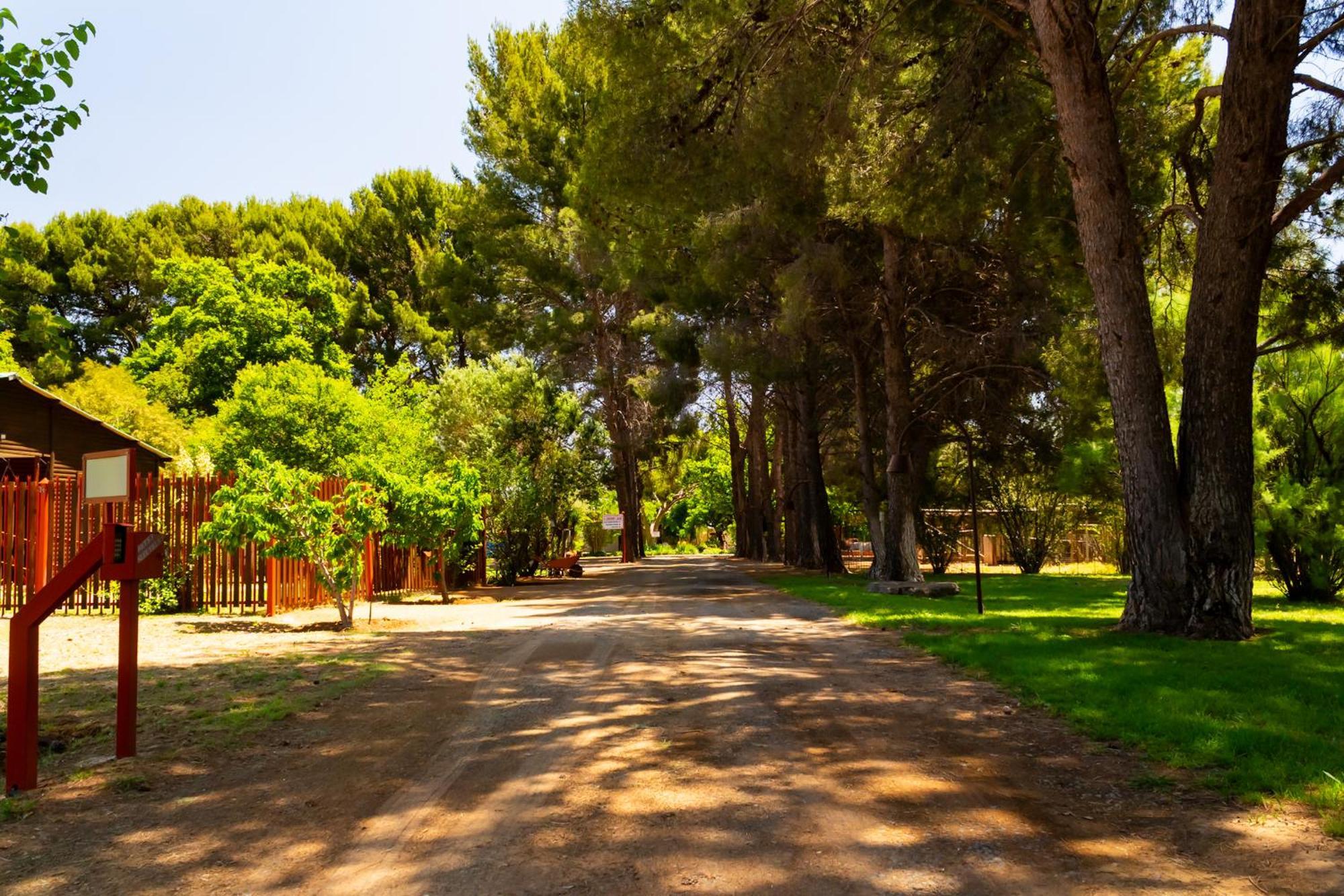 A Cherry Lane Self Catering And B&B Bloemfontein Exterior photo